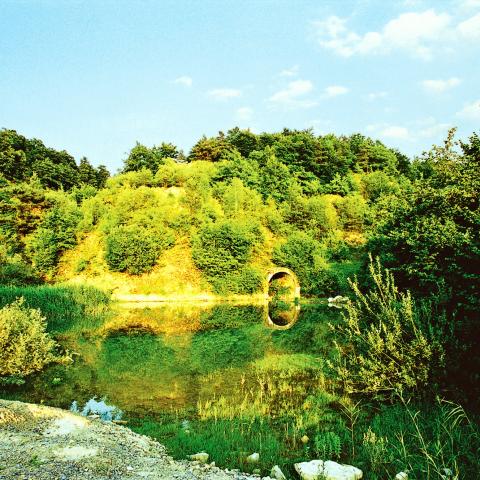 1996年，利奥波兹堡采石场湖上的鸟类保护区。